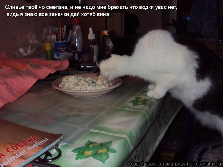 Оливье твоё чо сметана, Оливье твоё чо сметана, и не надо мне брехать что водки увас нет, видь я зна... Котоматрица: Оливье твоё чо сметана, Оливье твоё чо сметана, и не надо мне брехать что водки увас нет, видь я знаю все заначки дай хотяб вина!