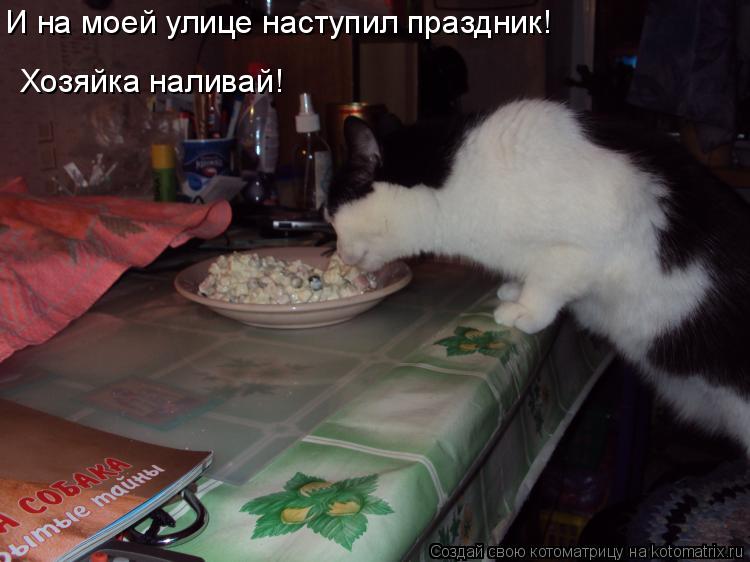 И на моей улице наступил праздник! Хозяйка наливай!... Котоматрица: И на моей улице наступил праздник! Хозяйка наливай!