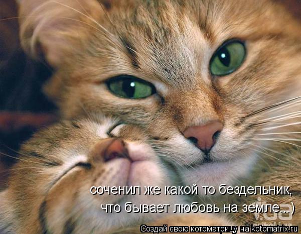 соченил же какой то бездельник, что бывает любовь на земле...)... Котоматрица: соченил же какой то бездельник, что бывает любовь на земле...)