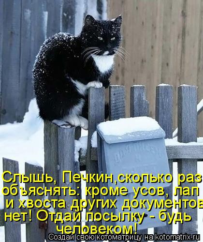 Слышь, Печкин,сколько раз объяснять: кроме усов, лап и хвоста других документов человеком! нет! Отда... Котоматрица: Слышь, Печкин,сколько раз объяснять: кроме усов, лап и хвоста других документов человеком! нет! Отдай посылку - будь