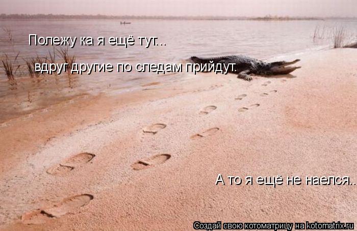 Полежу ка я ещё тут... вдруг другие по следам прийдут. А то я ещё не наелся...... Котоматрица: Полежу ка я ещё тут... вдруг другие по следам прийдут. А то я ещё не наелся...