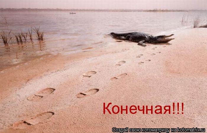 Конечная!!!... Котоматрица: Конечная!!!