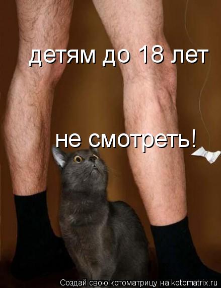 детям до 18 лет не смотреть!... Котоматрица: детям до 18 лет не смотреть!