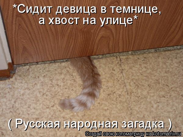 *Сидит девица в темнице, а хвост на улице* ( Русская народная загадка )... Котоматрица: *Сидит девица в темнице, а хвост на улице* ( Русская народная загадка )