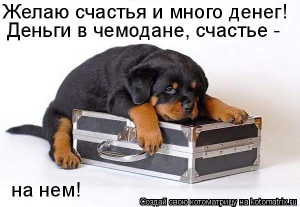 Желаю счастья и много денег! на нем! Деньги в чемодане, счастье -... Котоматрица: Желаю счастья и много денег! на нем! Деньги в чемодане, счастье -