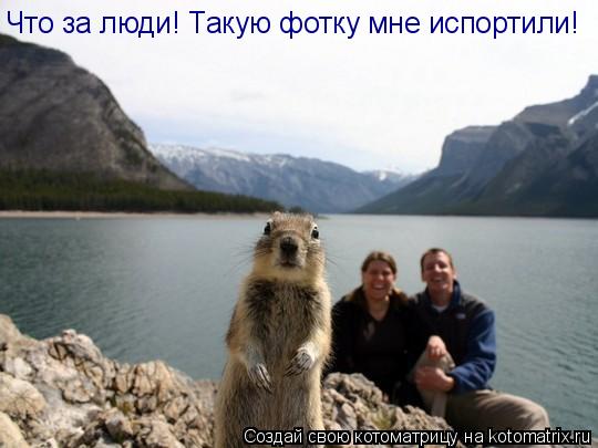 Что за люди! Такую фотку мне испортили!... Котоматрица: Что за люди! Такую фотку мне испортили!