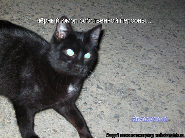 Котоматрица: чёрный юмор собственной персоны...