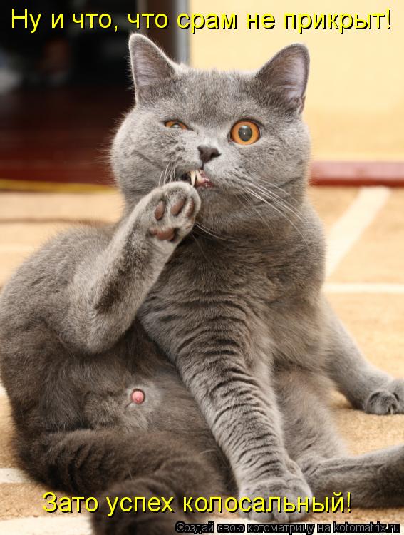 Ну и что, что срам не прикрыт! Зато успех колосальный!... Котоматрица: Ну и что, что срам не прикрыт! Зато успех колосальный!