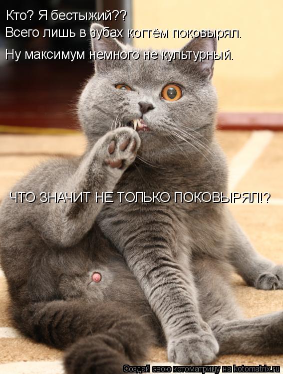 Кто? Я бестыжий?? Всего лишь в зубах когтём поковырял. Ну максимум немного не культурный. ЧТО ЗНАЧИТ ... Котоматрица: Кто? Я бестыжий?? Всего лишь в зубах когтём поковырял. Ну максимум немного не культурный. ЧТО ЗНАЧИТ НЕ ТОЛЬКО ПОКОВЫРЯЛ!?