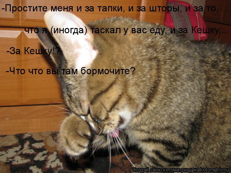 что я (иногда) таскал у вас еду, и за Кешку... -За Кешку!? -Что что вы там бормочите? -Простите меня ... Котоматрица: что я (иногда) таскал у вас еду, и за Кешку... -За Кешку!? -Что что вы там бормочите? -Простите меня и за тапки, и за шторы, и за то,