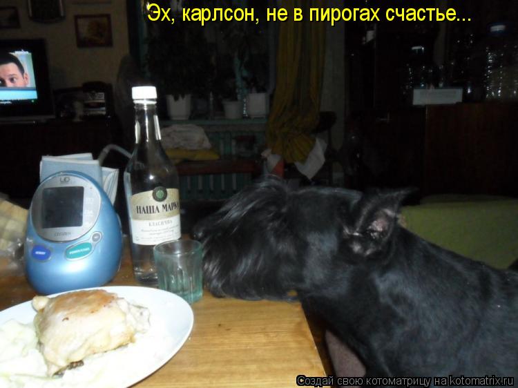 Эх, карлсон, не в пирогах счастье...... Котоматрица: Эх, карлсон, не в пирогах счастье...