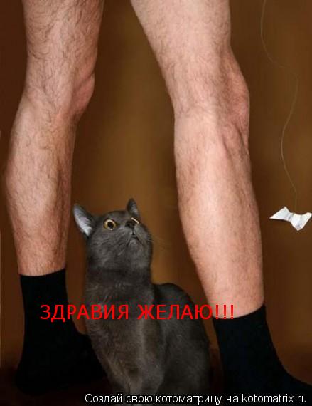 ЗДРАВИЯ ЖЕЛАЮ!!!... Котоматрица: ЗДРАВИЯ ЖЕЛАЮ!!!
