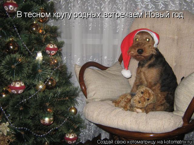 В тесном кругу родных встречаем Новый год... Котоматрица: В тесном кругу родных встречаем Новый год