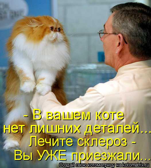 - В вашем коте нет лишних деталей... Лечите склероз - Вы УЖЕ приезжали...... Котоматрица: - В вашем коте нет лишних деталей... Лечите склероз - Вы УЖЕ приезжали...