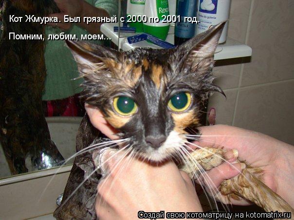Кот Жмурка. Был грязный с 2000 по 2001 год. Помним, любим, моем...... Котоматрица: Кот Жмурка. Был грязный с 2000 по 2001 год. Помним, любим, моем...