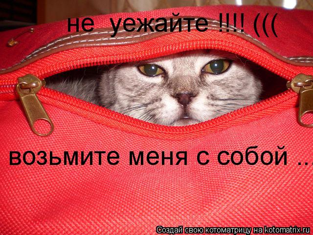 не уежайте !!!! ((( возьмите меня с собой ...... Котоматрица: не уежайте !!!! ((( возьмите меня с собой ...