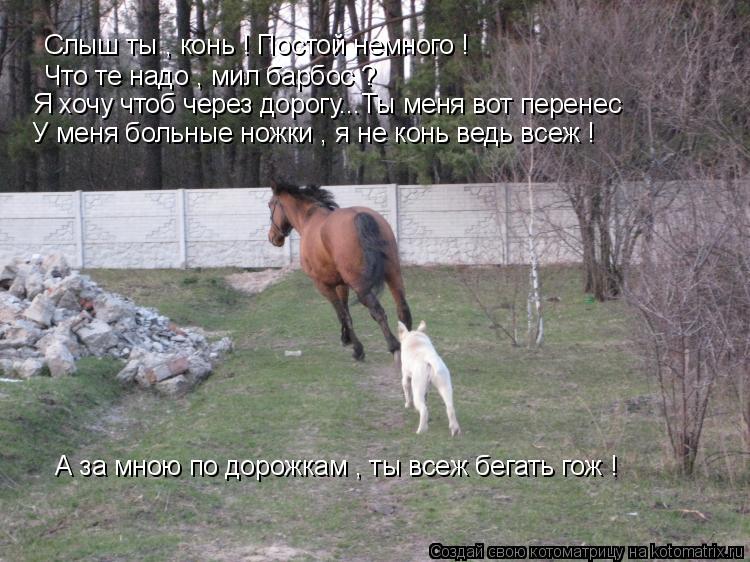 Слыш ты , конь ! Постой немного ! Что те надо , мил барбос ? Я хочу чтоб через дорогу...Ты меня вот п... Котоматрица: Слыш ты , конь ! Постой немного ! Что те надо , мил барбос ? Я хочу чтоб через дорогу...Ты меня вот перенес У меня больные ножки , я не конь ведь вс