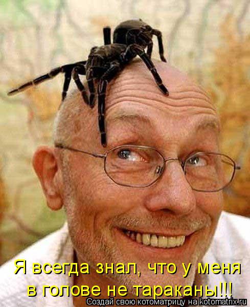 Я всегда знал, что у меня в голове не тараканы!!!... Котоматрица: Я всегда знал, что у меня в голове не тараканы!!!