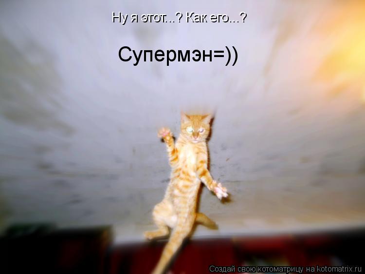 Ну я этот...? Как его...? Супермэн=))... Котоматрица: Ну я этот...? Как его...? Супермэн=))