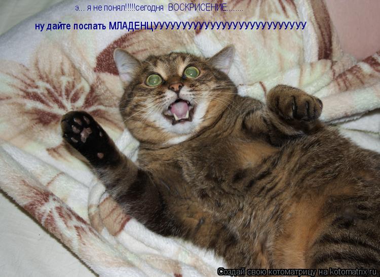 э... я не понял!!!!!сегодня ВОСКРИСЕНИЕ........ ну дайте поспать МЛАДЕНЦУУУУУУУУУУУУУУУУУУУУУУУУУУ... Котоматрица: э... я не понял!!!!!сегодня ВОСКРИСЕНИЕ........ ну дайте поспать МЛАДЕНЦУУУУУУУУУУУУУУУУУУУУУУУУУУУ