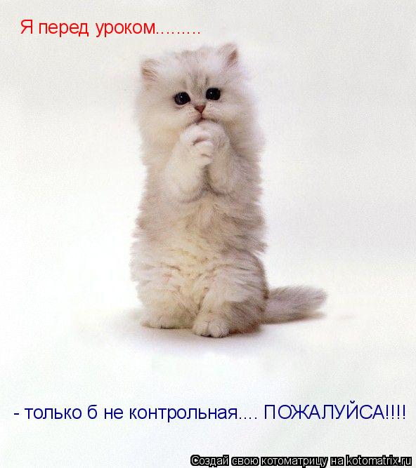 Я перед уроком......... - только б не контрольная.... ПОЖАЛУЙСА!!!!... Котоматрица: Я перед уроком......... - только б не контрольная.... ПОЖАЛУЙСА!!!!
