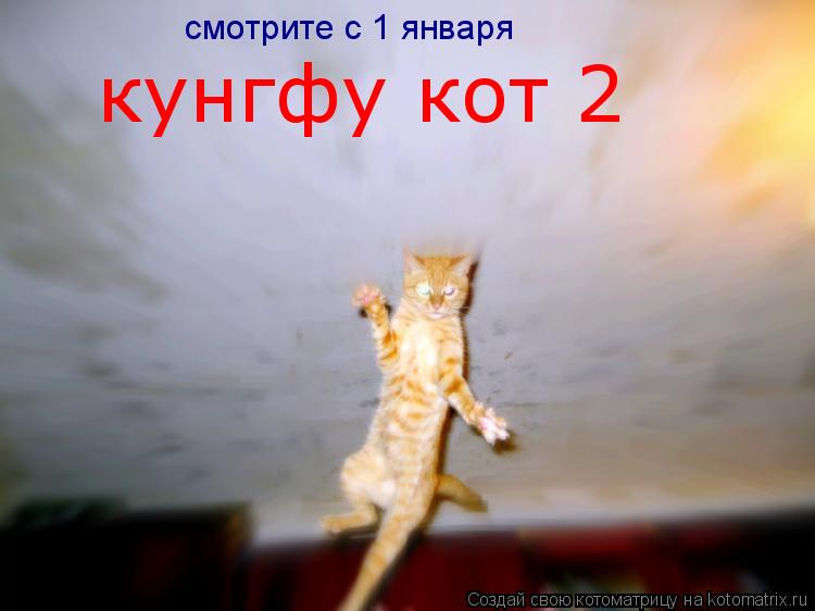 смотрите с 1 января кунгфу кот 2... Котоматрица: смотрите с 1 января кунгфу кот 2