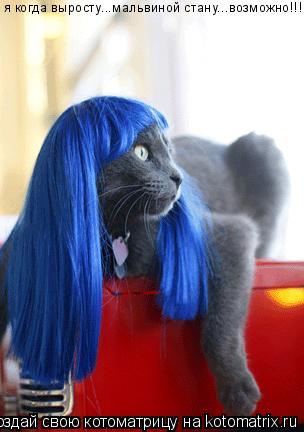 я когда выросту...мальвиной стану...возможно!!!!!... Котоматрица: я когда выросту...мальвиной стану...возможно!!!!!