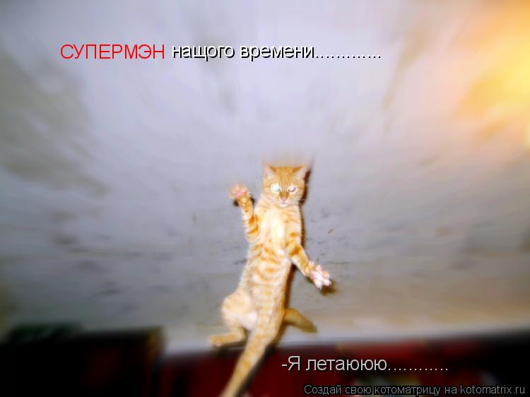СУПЕРМЭН нащого времени............. -Я летаююю............... Котоматрица: СУПЕРМЭН нащого времени............. -Я летаююю............