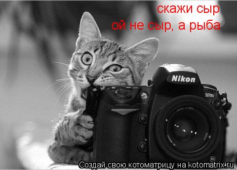 скажи сыр ой не сыр, а рыба... Котоматрица: скажи сыр ой не сыр, а рыба