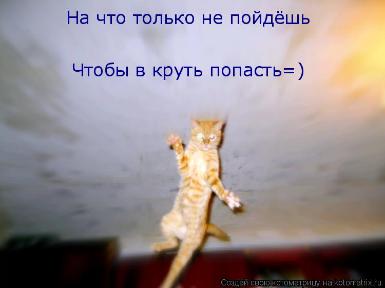 На что только не пойдёшь Чтобы в круть попасть=)... Котоматрица: На что только не пойдёшь Чтобы в круть попасть=)