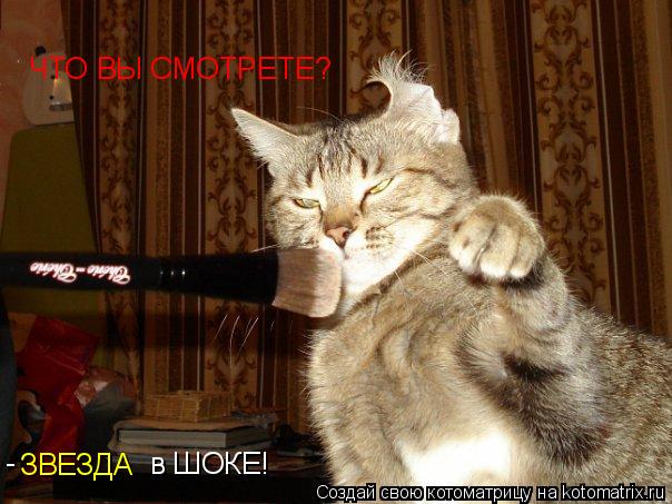 ЧТО ВЫ СМОТРЕТЕ? ЗВЕЗДА - в ШОКЕ!... Котоматрица: ЧТО ВЫ СМОТРЕТЕ? ЗВЕЗДА - в ШОКЕ!