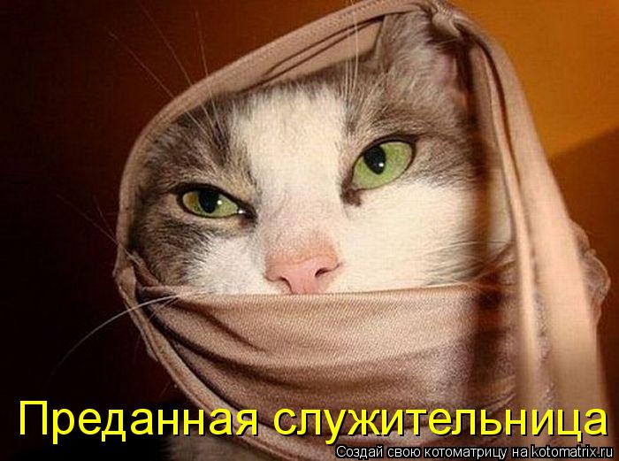 Преданная служительница... Котоматрица: Преданная служительница