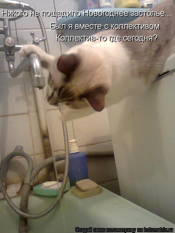 Никого не пощадило Новогоднее застолье... Был я вместе с коллективом Коллектив-то где сегодня?... Котоматрица: Никого не пощадило Новогоднее застолье... Был я вместе с коллективом Коллектив-то где сегодня?