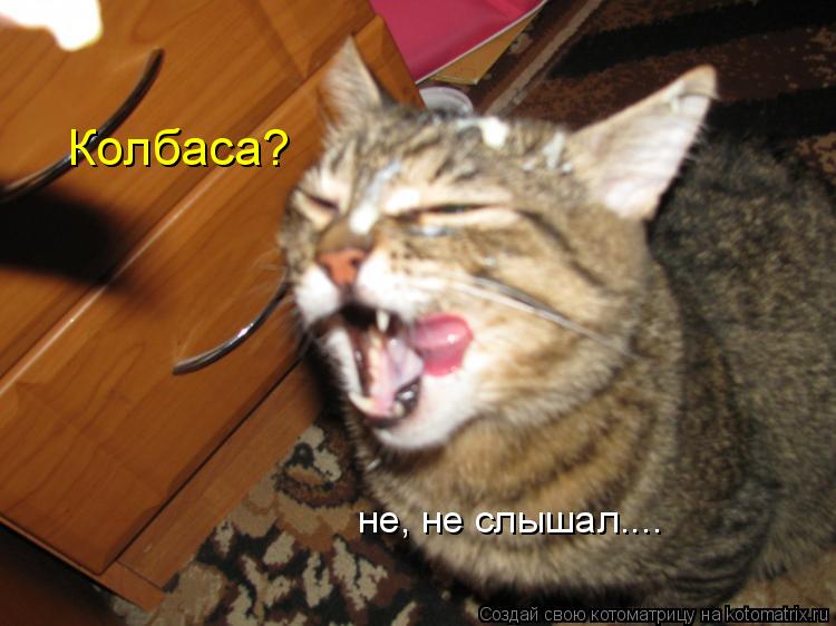 Колбаса? не, не слышал....... Котоматрица: Колбаса? не, не слышал....