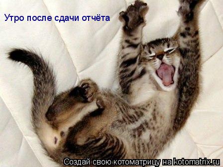 Утро после сдачи отчёта... Котоматрица: Утро после сдачи отчёта