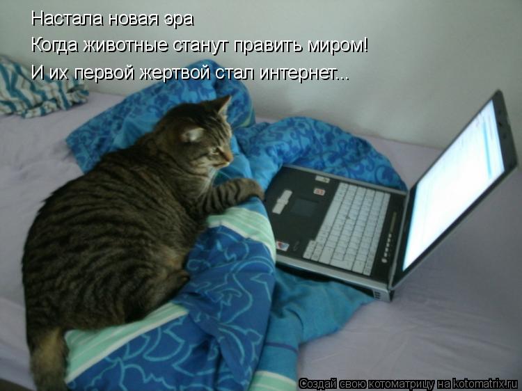Настала новая эра Когда животные станут править миром! И их первой жертвой стал интернет...... Котоматрица: Настала новая эра Когда животные станут править миром! И их первой жертвой стал интернет...