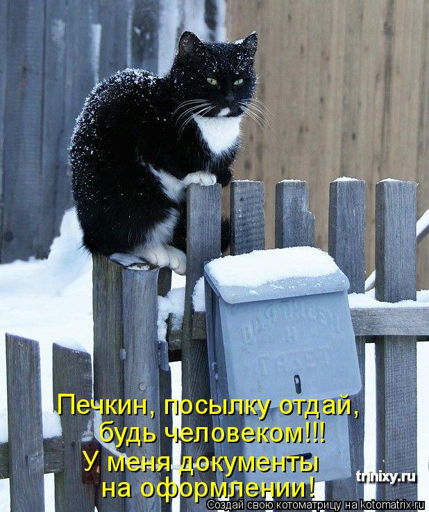 У меня документы будь человеком!!! Печкин, посылку отдай, на оформлении!... Котоматрица: У меня документы будь человеком!!! Печкин, посылку отдай, на оформлении!