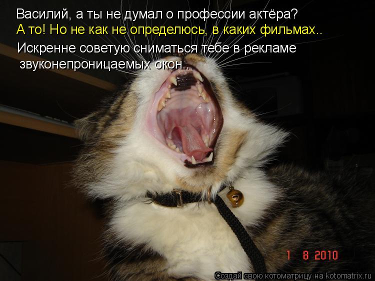 Василий, а ты не думал о профессии актёра? Искренне советую сниматься тебе в рекламе звуконепроницае... Котоматрица: Василий, а ты не думал о профессии актёра? Искренне советую сниматься тебе в рекламе звуконепроницаемых окон.. А то! Но не как не определюсь,