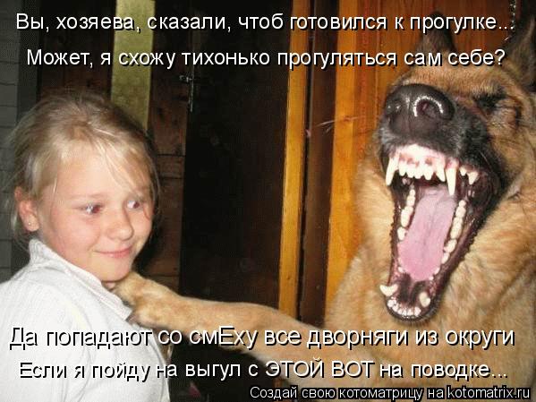 Если я пойду на выгул с ЭТОЙ ВОТ на поводке... Да попадают со смЕху все дворняги из округи Может, я с... Котоматрица: Если я пойду на выгул с ЭТОЙ ВОТ на поводке... Да попадают со смЕху все дворняги из округи Может, я схожу тихонько прогуляться сам себе? Вы, хо