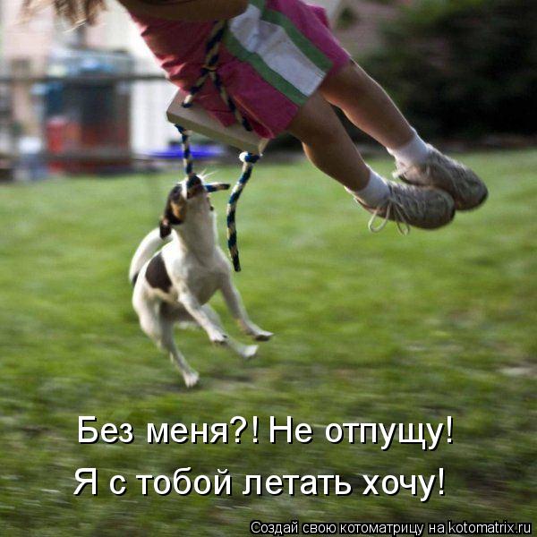 Без меня?! Не отпущу! Я с тобой летать хочу!... Котоматрица: Без меня?! Не отпущу! Я с тобой летать хочу!