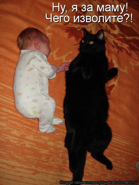 Ну, я за маму! Чего изволите?!... Котоматрица: Ну, я за маму! Чего изволите?!