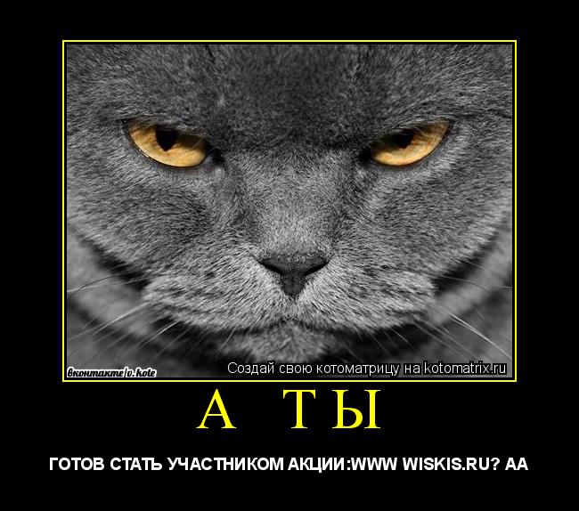 А ТЫ ГОТОВ СТАТЬ УЧАСТНИКОМ АКЦИИ:WWW WISKIS.RU? АА... Котоматрица: А ТЫ ГОТОВ СТАТЬ УЧАСТНИКОМ АКЦИИ:WWW WISKIS.RU? АА
