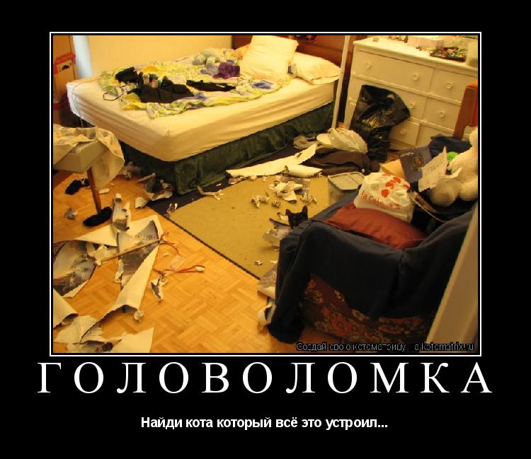 Головоломка Найди кота который всё это устроил...... Котоматрица: Головоломка Найди кота который всё это устроил...