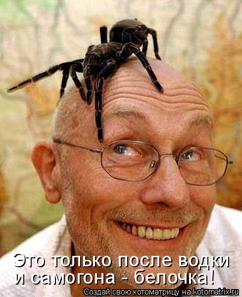 Это только после водки и самогона - белочка!... Котоматрица: Это только после водки и самогона - белочка!