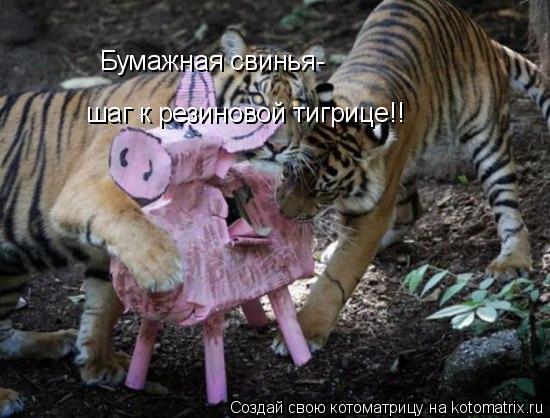 Бумажная свинья- шаг к резиновой тигрице!!... Котоматрица: Бумажная свинья- шаг к резиновой тигрице!!