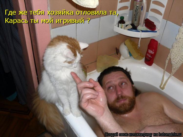 Где же тебя хозяйка отловила та, Карась ты мой игривый ?... Котоматрица: Где же тебя хозяйка отловила та, Карась ты мой игривый ?