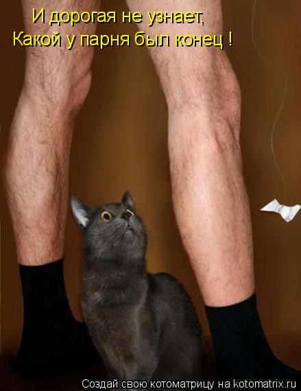 И дорогая не узнает, Какой у парня был конец !... Котоматрица: И дорогая не узнает, Какой у парня был конец !