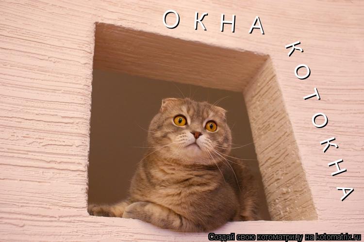 О К Н А К О Т О К Н А... Котоматрица: О К Н А К О Т О К Н А