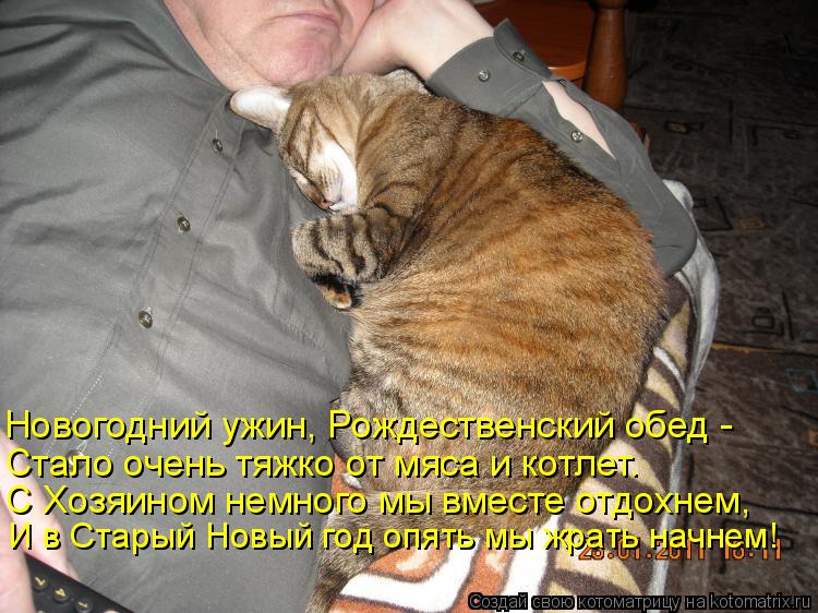 Новогодний ужин, Рождественский обед - Стало очень тяжко от мяса и котлет. С Хозяином немного мы вмес... Котоматрица: Новогодний ужин, Рождественский обед - Стало очень тяжко от мяса и котлет. С Хозяином немного мы вместе отдохнем, И в Старый Новый год опять