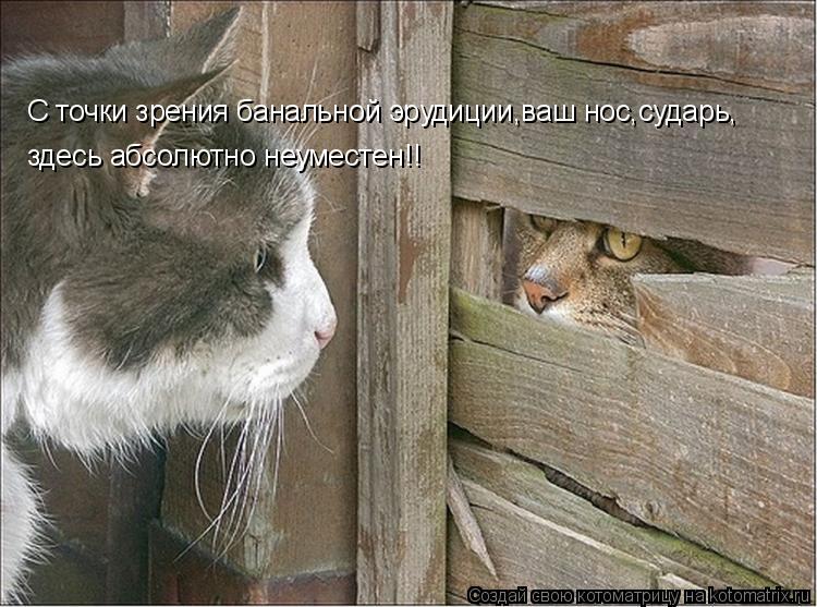 С точки зрения банальной эрудиции,ваш нос,сударь, здесь абсолютно неуместен!!... Котоматрица: С точки зрения банальной эрудиции,ваш нос,сударь, здесь абсолютно неуместен!!